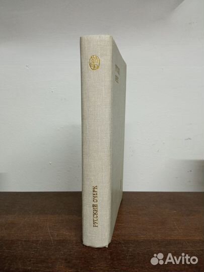 Русский очерки 19 века