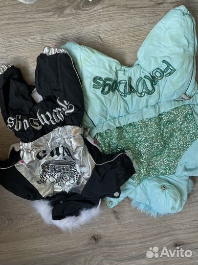 Вещи для маленьких собак