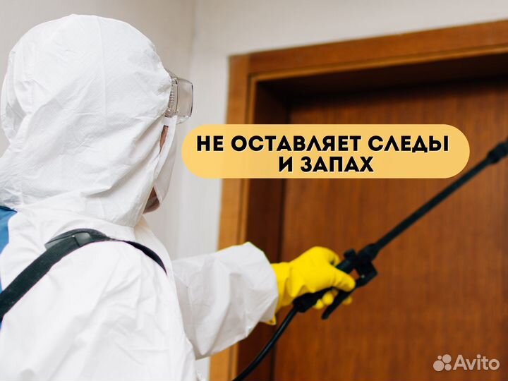 Дезинфекция. Уничтожение тараканов, плесени