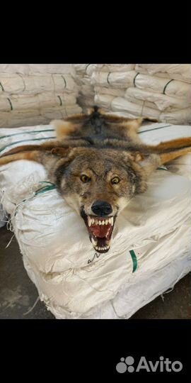 Ковер напольный волк