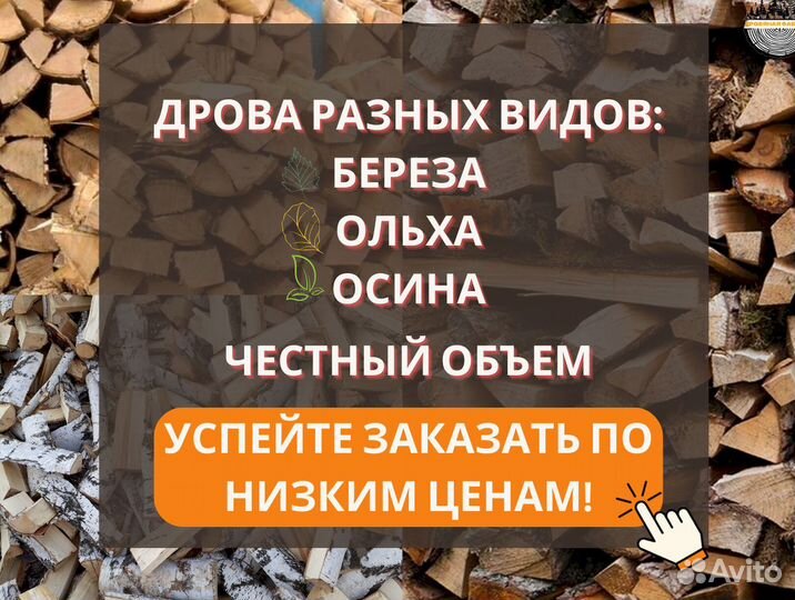 Дрова колотые с укладной в дровник