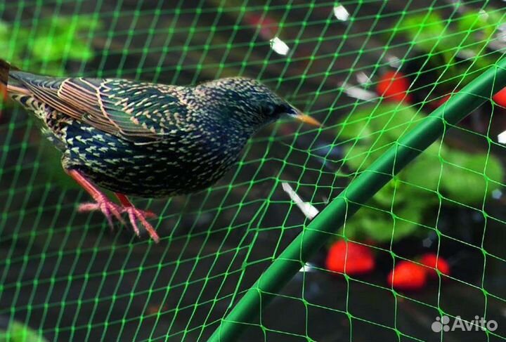 Сетка для защиты урожая от птиц, 2x5 м Greenart