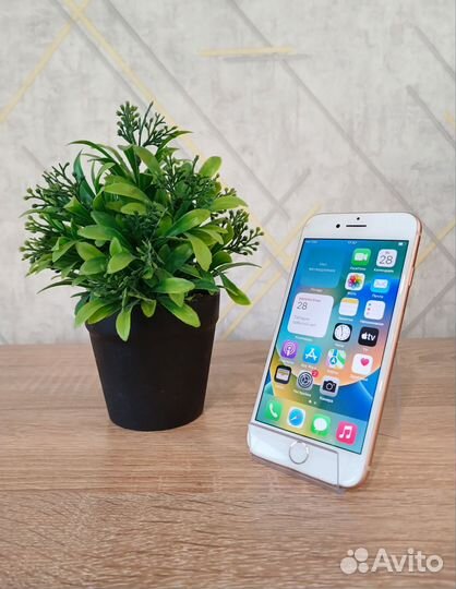 iPhone 8, 64 ГБ