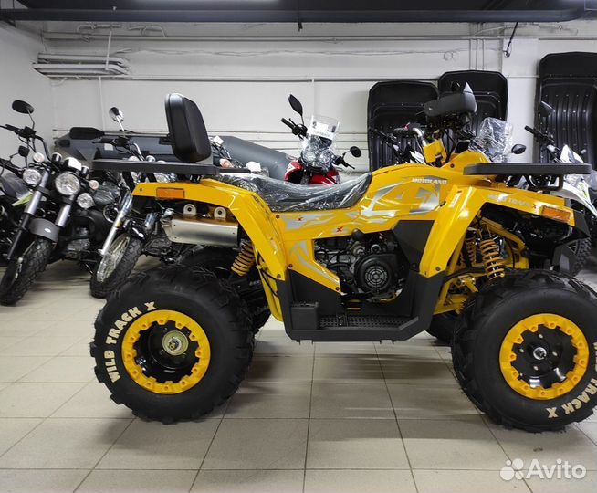 Квадроцикл Motoland Wild Track X 200