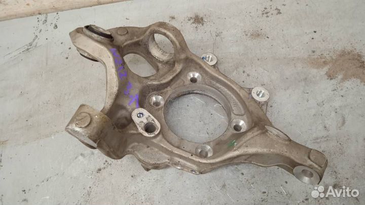 Кулак задний левый