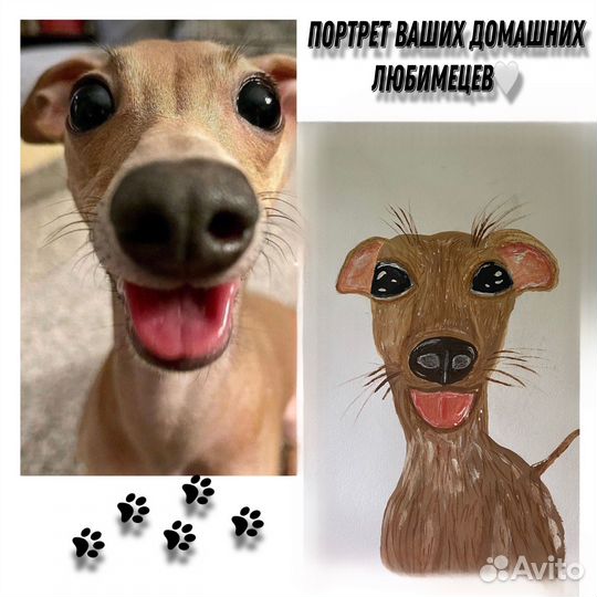 Портрет питомца