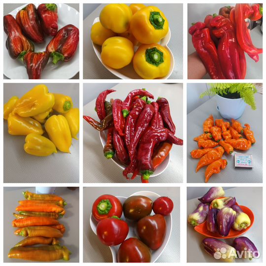 Семена томатов, сладких и острых перцев