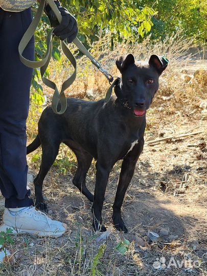 Фортуна ждет вас