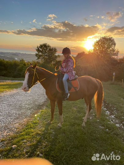 Конные прогулки