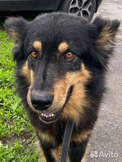 Зевса нашли в посадке