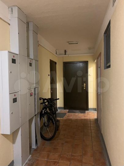 3-к. квартира, 75,3 м², 4/25 эт.