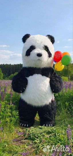 Поздравление - Панда на праздник