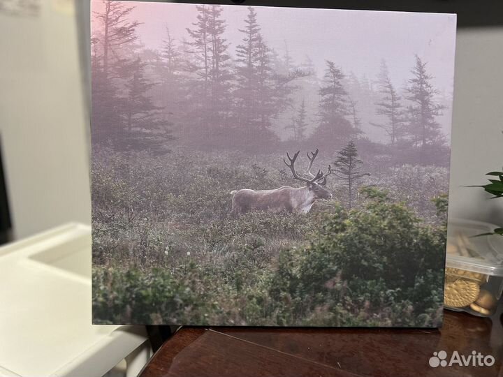 Картина постер лось