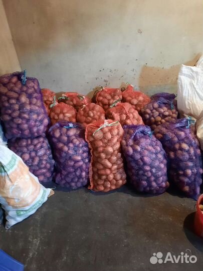 Продам картофель