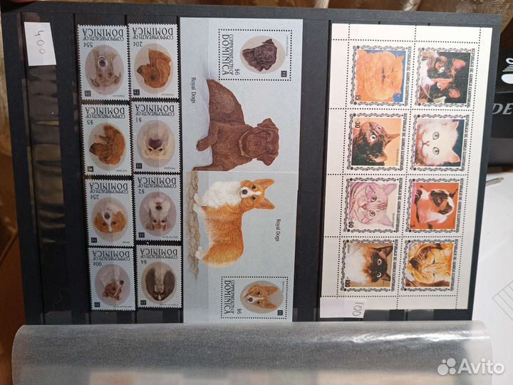 Марки кошки собаки