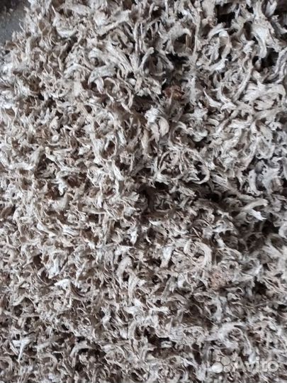 Корма для сельхоз животных