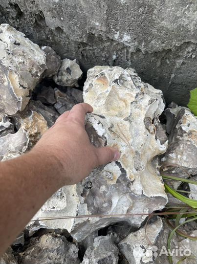 Кремень Белорусский