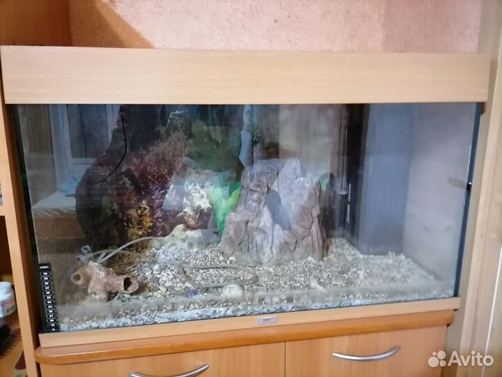 Продам аквариум в Москве Восточное Измайлово