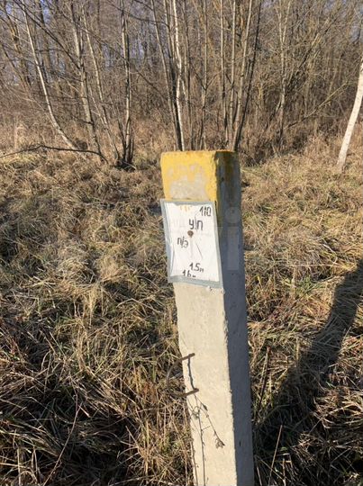 Участок 1,6 га (ИЖС)