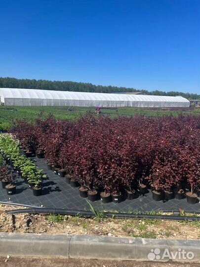 Ищем инвестора в бизнес