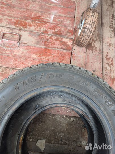 Gislaved Nord Frost III 175/65 R14