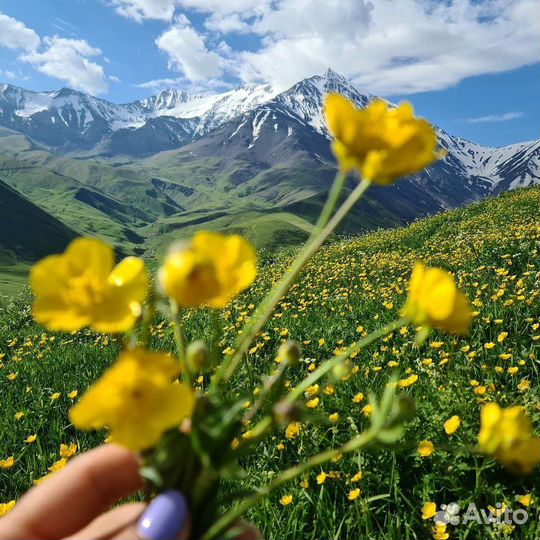 Тур по Дагестану 5 дней. Все включено