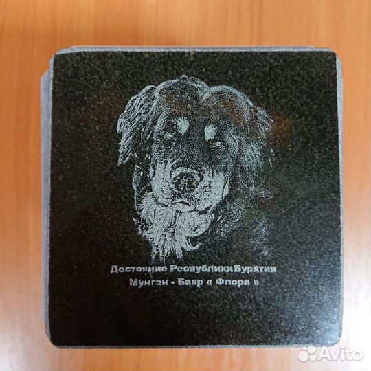 Кремация животных