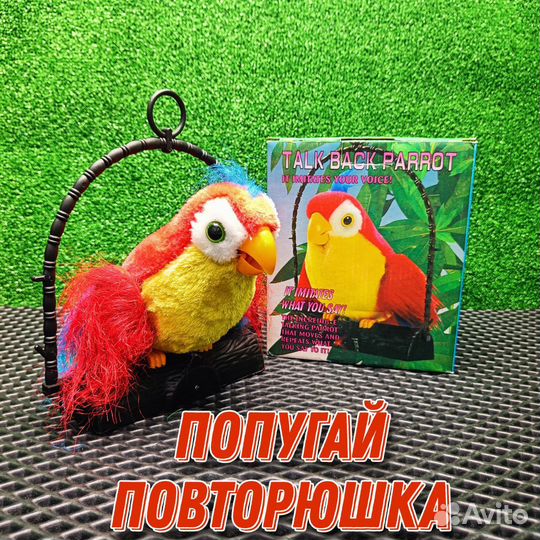 Попугай повторюшка