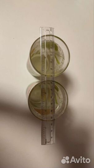 Два стакана для сока