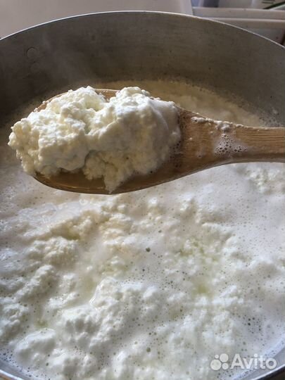 Козий Творог обезжиренный