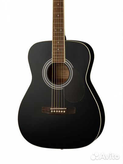 Акустическая гитара с чехлом Parkwood PF51-BKS