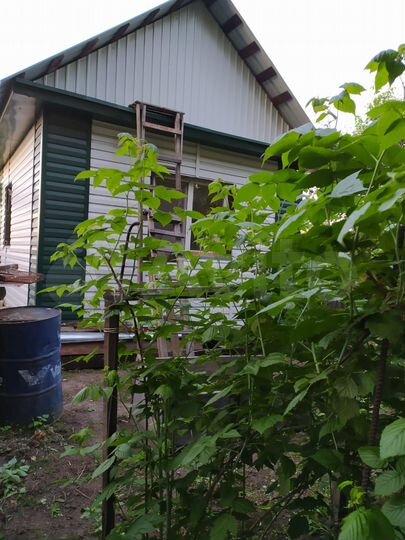 Дом 54 м² на участке 20 сот.