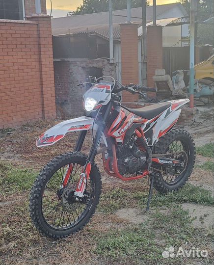 Progasi super max 300 2023