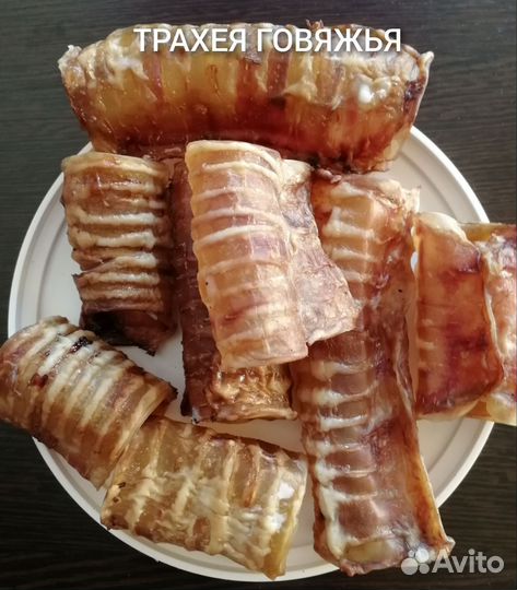 Лакомства для собак