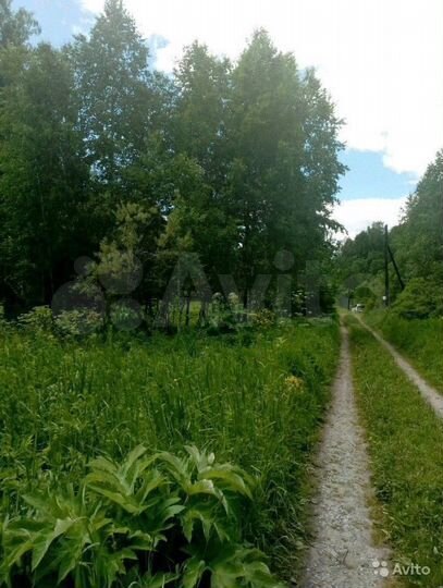 Участок 8 сот. (СНТ, ДНП)