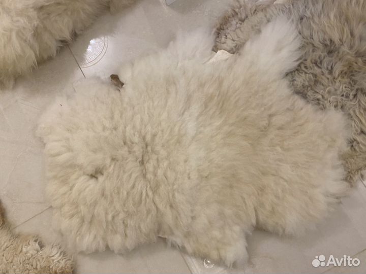 Шкура овечья