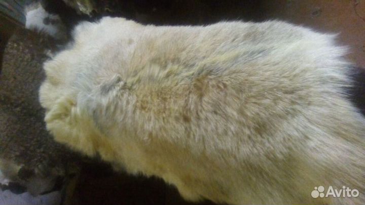 Выделка шкур