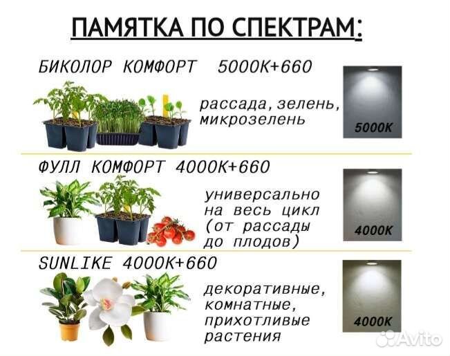 Светильники для микрозелени Quantum line 115 см