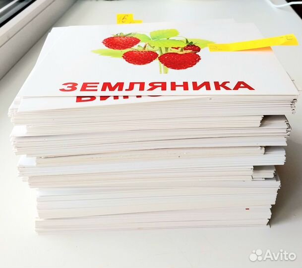 Пакет Карточек домана набором 236штук