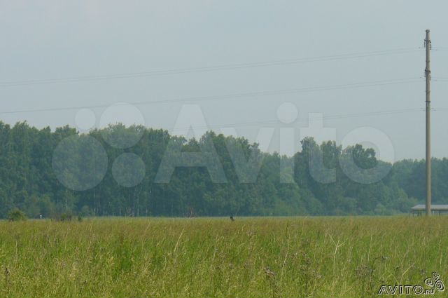 Участок 15 сот. (СНТ, ДНП)