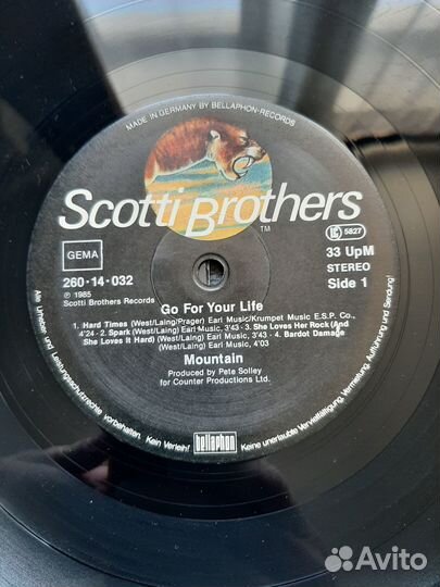 Mountain/ GO FOR your life/ 1985 scotti brothers r