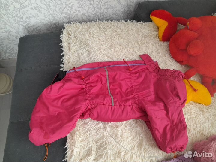 Дождевик для средней собаки