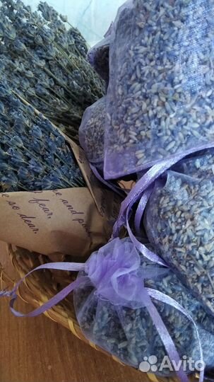 Лаванда Крымская сухоцвет