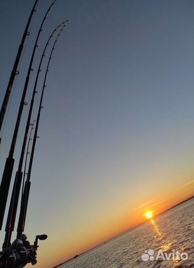 Рыбалка в Карелии, Онежское озеро