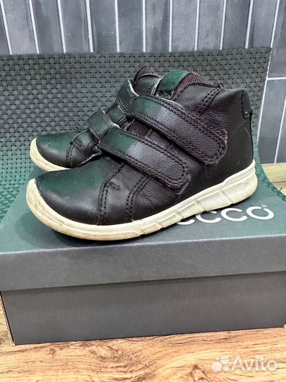 Ботинки демисезонные ecco