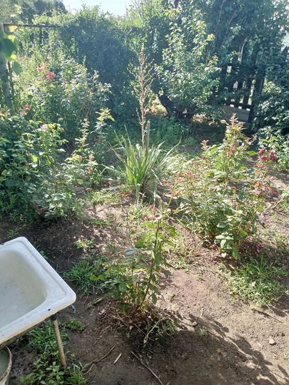 Дача 25 м² на участке 6 сот.