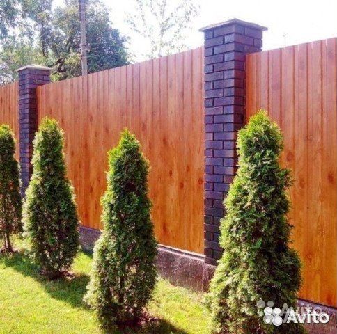 Профнастил для забора Printech