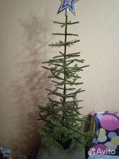 Ёлка СССР 120см