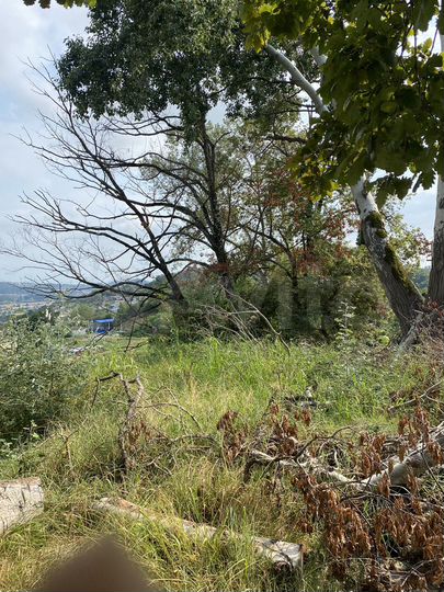 Участок 7,8 сот. (ИЖС)