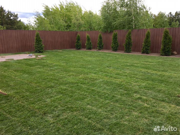 Pyлoнный газон